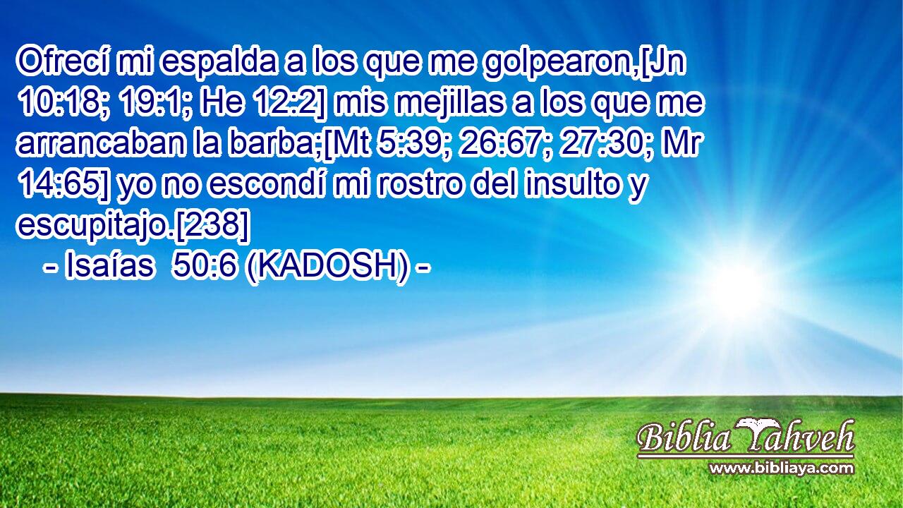  Ofrecí mi espalda a los que me golpearon,[Jn 10:18; 19:1; He 12:2] mis mejillas a los que me arrancaban la barba;[Mt 5:39; 26:67; 27:30; Mr 14:65] yo no escondí mi rostro del insulto y escupitajo.[238] 