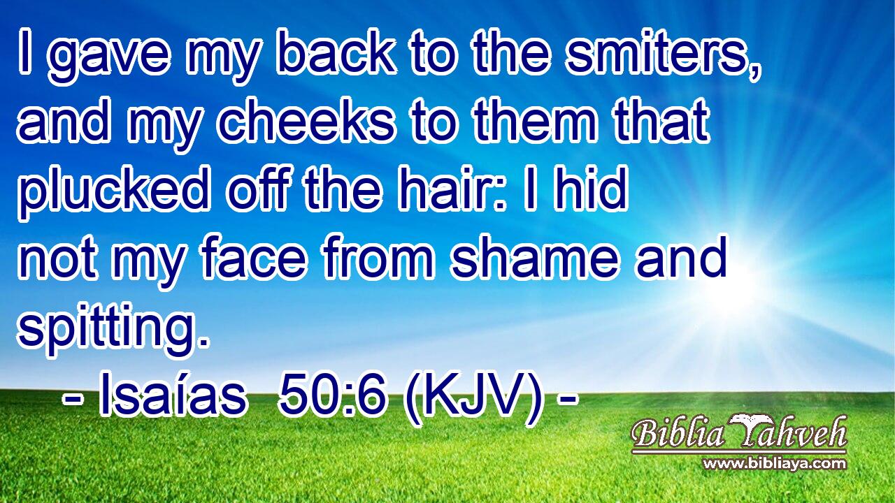 I gave my back to the smiters, and my cheeks to them that plucked off the hair: I hid not my face from shame and spitting.