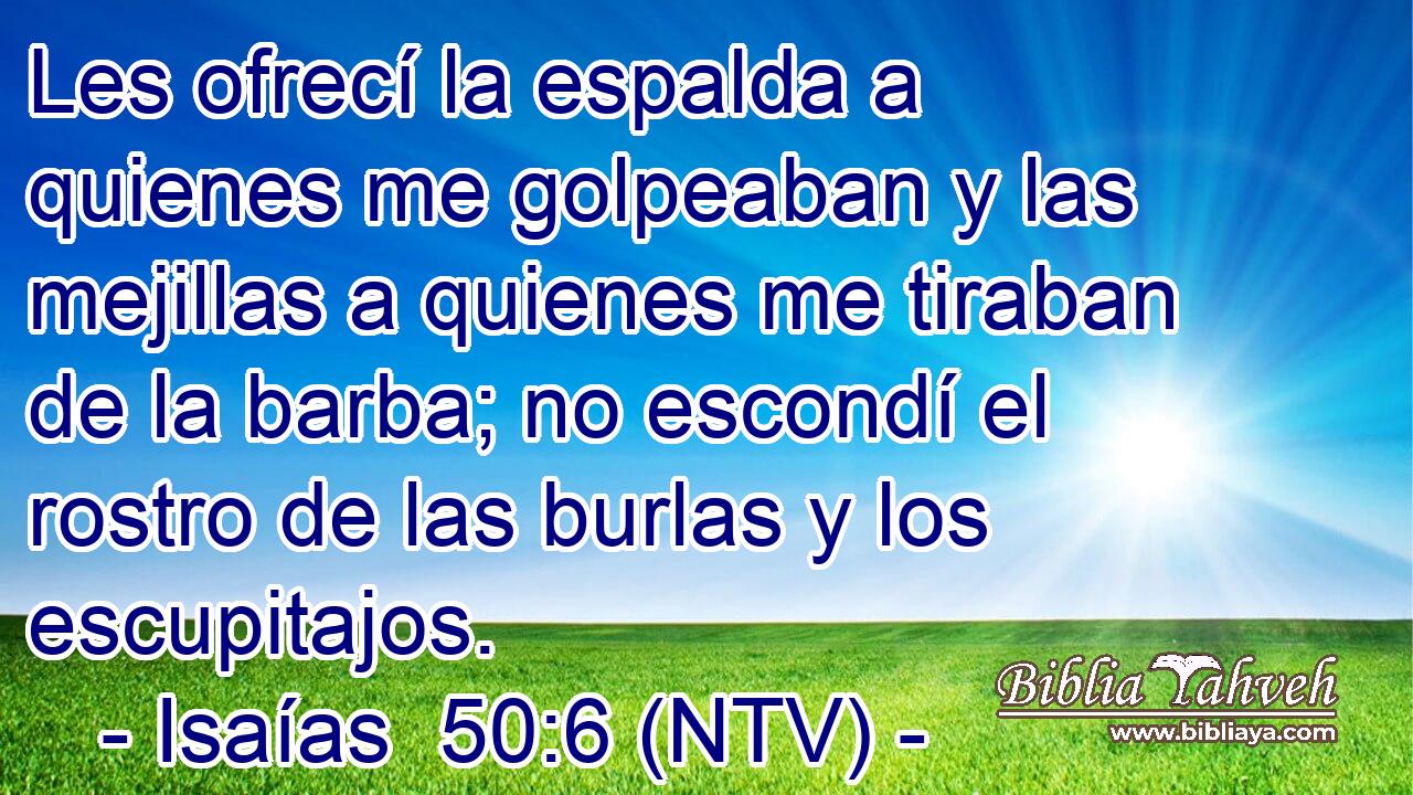 Les ofrecí la espalda a quienes me golpeaban y las mejillas a quienes me tiraban de la barba; no escondí el rostro de las burlas y los escupitajos.