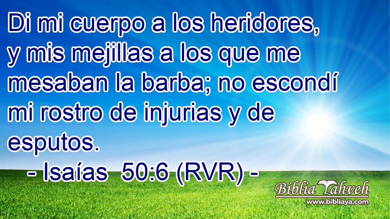 Di mi cuerpo a los heridores, y mis mejillas a los que me mesaban la barba; no escondí mi rostro de injurias y de esputos.