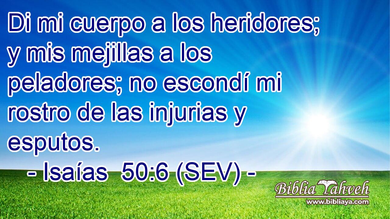 Di mi cuerpo a los heridores; y mis mejillas a los peladores; no escondí mi rostro de las injurias y esputos.