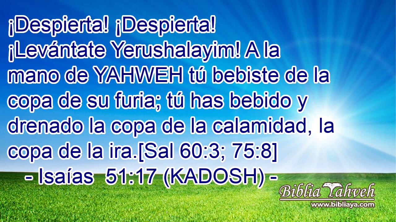  ¡Despierta! ¡Despierta! ¡Levántate Yerushalayim! A la mano de YAHWEH tú bebiste de la copa de su furia; tú has bebido y drenado la copa de la calamidad, la copa de la ira.[Sal 60:3; 75:8] 