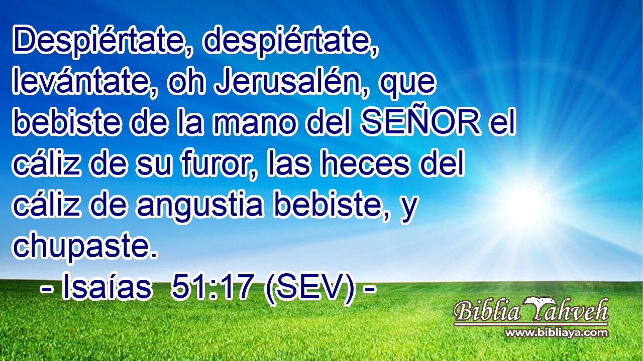 Despiértate, despiértate, levántate, oh Jerusalén, que bebiste de la mano del SEÑOR el cáliz de su furor, las heces del cáliz de angustia bebiste, y chupaste.