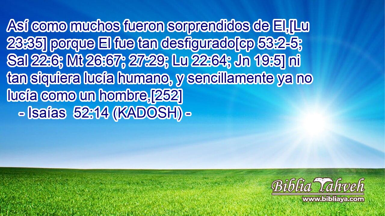  Así como muchos fueron sorprendidos de El,[Lu 23:35] porque El fue tan desfigurado[cp 53:2-5; Sal 22:6; Mt 26:67; 27:29; Lu 22:64; Jn 19:5] ni tan siquiera lucía humano, y sencillamente ya no lucía como un hombre,[252] 