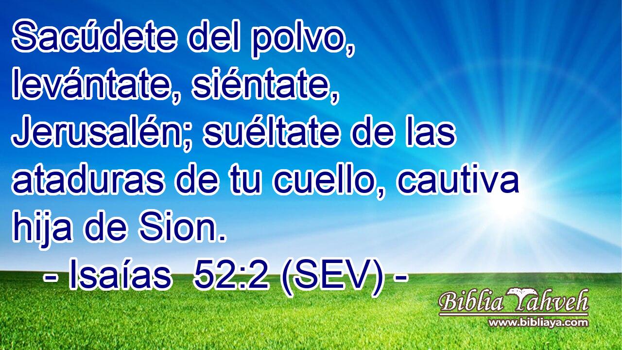 Sacúdete del polvo, levántate, siéntate, Jerusalén; suéltate de las ataduras de tu cuello, cautiva hija de Sion.