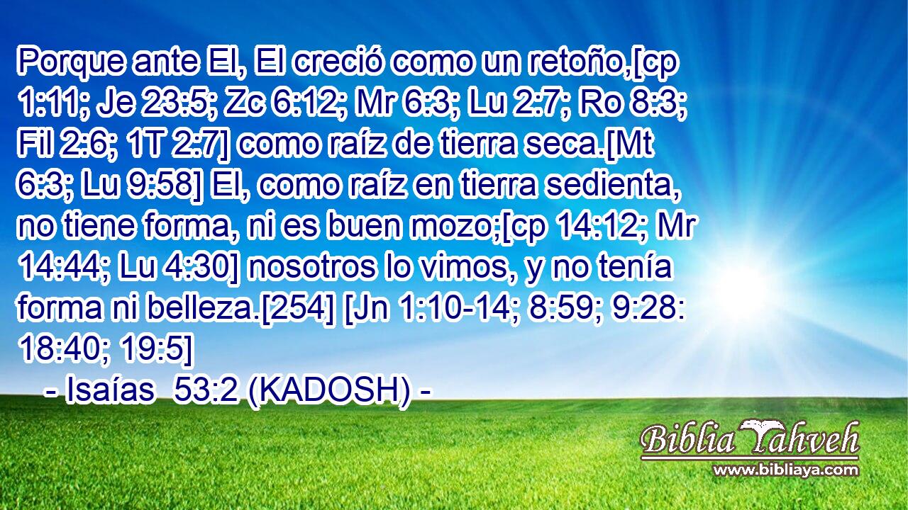  Porque ante El, El creció como un retoño,[cp 1:11; Je 23:5; Zc 6:12; Mr 6:3; Lu 2:7; Ro 8:3; Fil 2:6; 1T 2:7] como raíz de tierra seca.[Mt 6:3; Lu 9:58] El, como raíz en tierra sedienta, no tiene forma, ni es buen mozo;[cp 14:12; Mr 14:44; Lu 4:30] nosotros lo vimos, y no tenía forma ni belleza.[254] [Jn 1:10-14; 8:59; 9:28: 18:40; 19:5] 