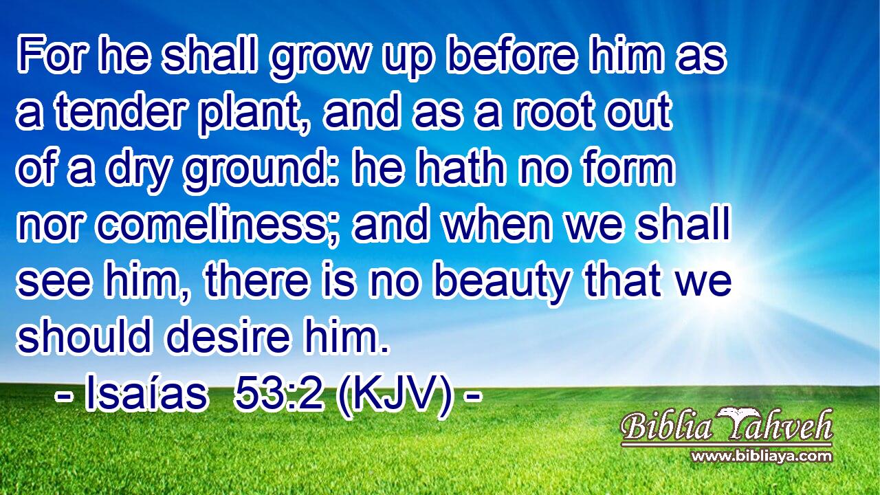 For he shall grow up before him as a tender plant, and as a root out of a dry ground: he hath no form nor comeliness; and when we shall see him, there is no beauty that we should desire him.