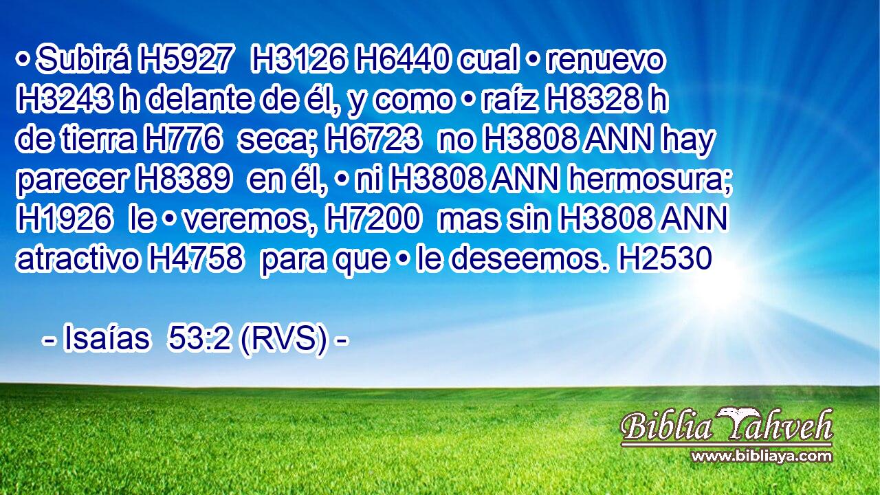 • Subirá H5927  H3126 H6440 cual • renuevo H3243 h delante de él, y como • raíz H8328 h de tierra H776  seca; H6723  no H3808 ANN hay parecer H8389  en él, • ni H3808 ANN hermosura; H1926  le • veremos, H7200  mas sin H3808 ANN atractivo H4758  para que • le deseemos. H2530  
