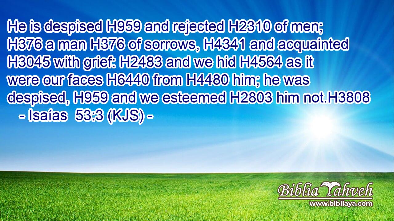 He is despised H959 and rejected H2310 of men; H376 a man H376 of sorrows, H4341 and acquainted H3045 with grief: H2483 and we hid H4564 as it were our faces H6440 from H4480 him; he was despised, H959 and we esteemed H2803 him not.H3808
