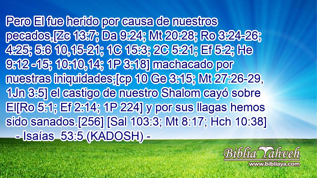  Pero El fue herido por causa de nuestros pecados,[Zc 13:7; Da 9:24; Mt 20:28; Ro 3:24-26; 4:25; 5:6 10,15-21; 1C 15:3; 2C 5:21; Ef 5:2; He 9:12 -15; 10:10,14; 1P 3:18] machacado por nuestras iniquidades;[cp 10 Ge 3:15; Mt 27:26-29, 1Jn 3:5] el castigo de nuestro Shalom cayó sobre El[Ro 5:1; Ef 2:14; 1P 224] y por sus llagas hemos sido sanados.[256] [Sal 103:3; Mt 8:17; Hch 10:38] 