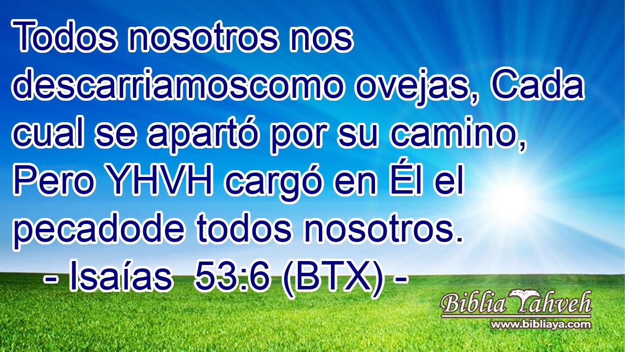 Todos nosotros nos descarriamoscomo ovejas, Cada cual se apartó por su camino, Pero YHVH cargó en Él el pecadode todos nosotros.