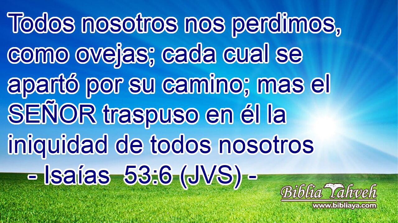 Todos nosotros nos perdimos, como ovejas; cada cual se apartó por su camino; mas el SEÑOR traspuso en él la iniquidad de todos nosotros