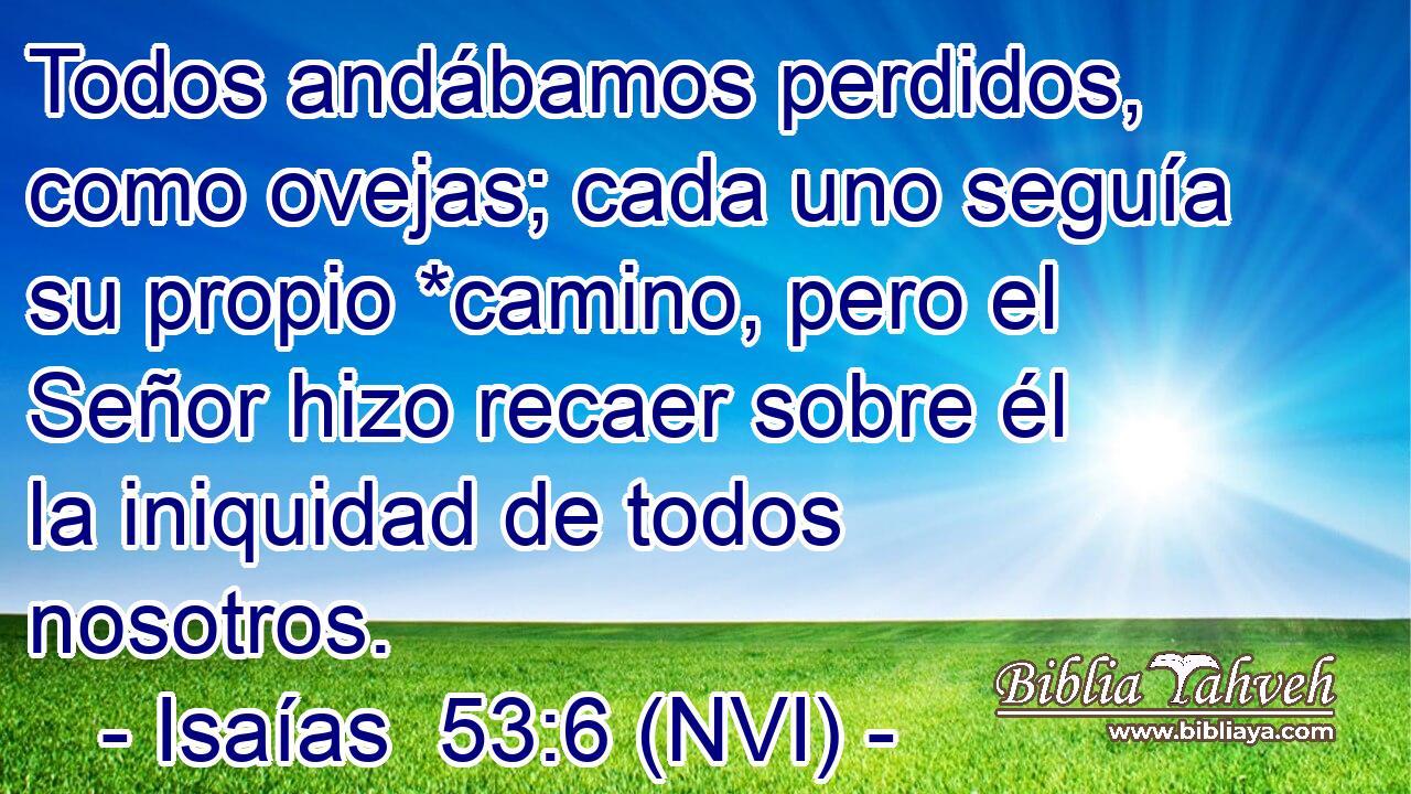  Todos andábamos perdidos, como ovejas; cada uno seguía su propio *camino, pero el Señor hizo recaer sobre él la iniquidad de todos nosotros. 
