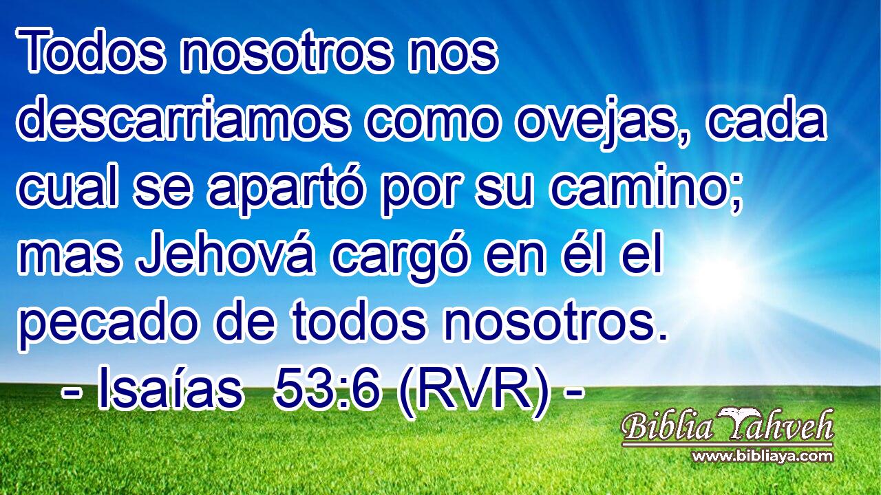 Todos nosotros nos descarriamos como ovejas, cada cual se apartó por su camino; mas Jehová cargó en él el pecado de todos nosotros.