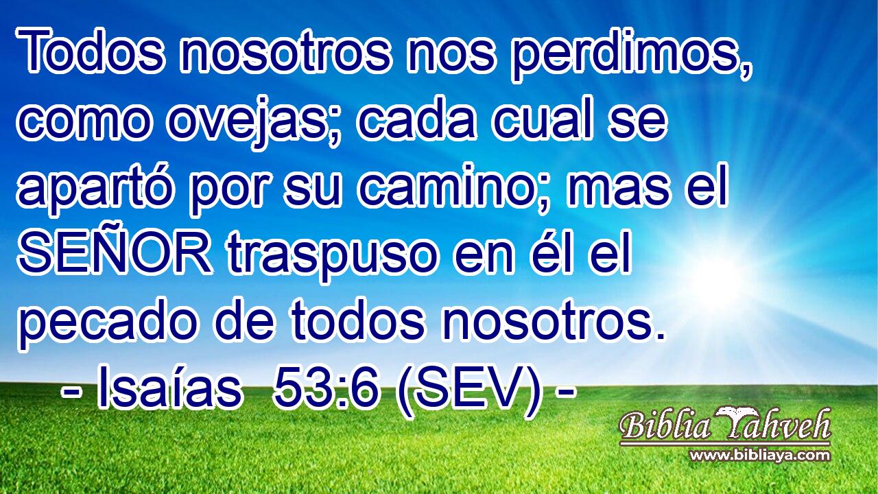 Todos nosotros nos perdimos, como ovejas; cada cual se apartó por su camino; mas el SEÑOR traspuso en él el pecado de todos nosotros.