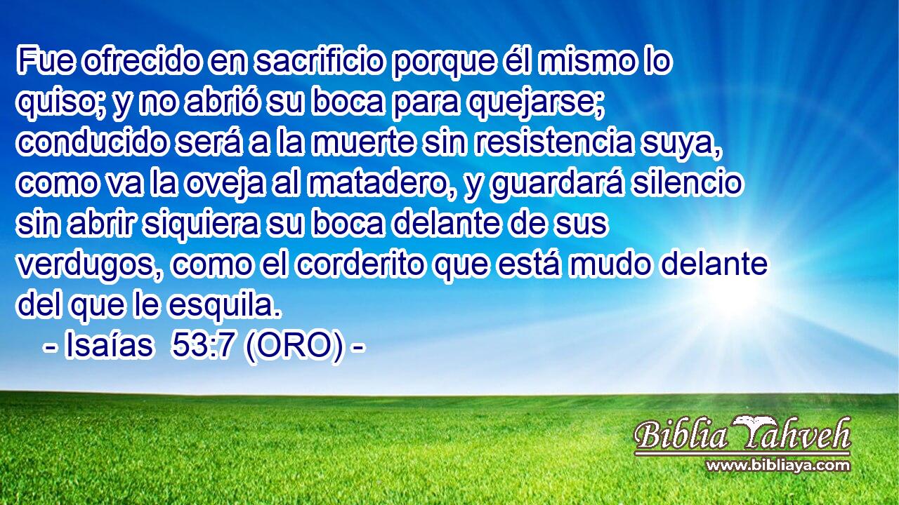  Fue ofrecido en sacrificio porque él mismo lo quiso; y no abrió su boca para quejarse; conducido será a la muerte sin resistencia suya, como va la oveja al matadero, y guardará silencio sin abrir siquiera su boca delante de sus verdugos, como el corderito que está mudo delante del que le esquila. 