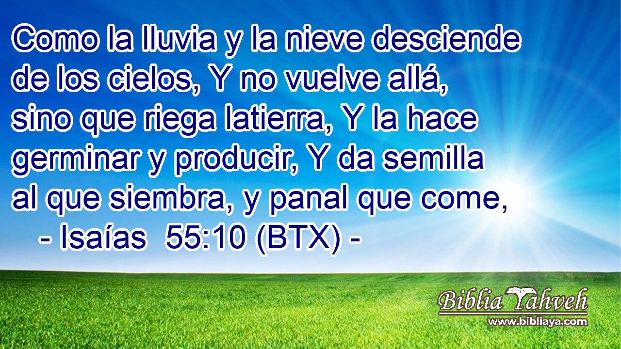 Como la lluvia y la nieve desciende de los cielos, Y no vuelve allá, sino que riega latierra, Y la hace germinar y producir, Y da semilla al que siembra, y panal que come,
