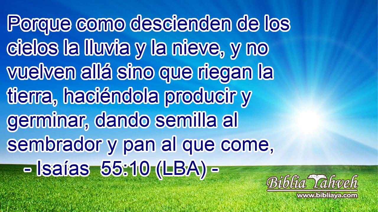 Porque como descienden de los cielos la lluvia y la nieve, y no vuelven allá sino que riegan la tierra, haciéndola producir y germinar, dando semilla al sembrador y pan al que come,
