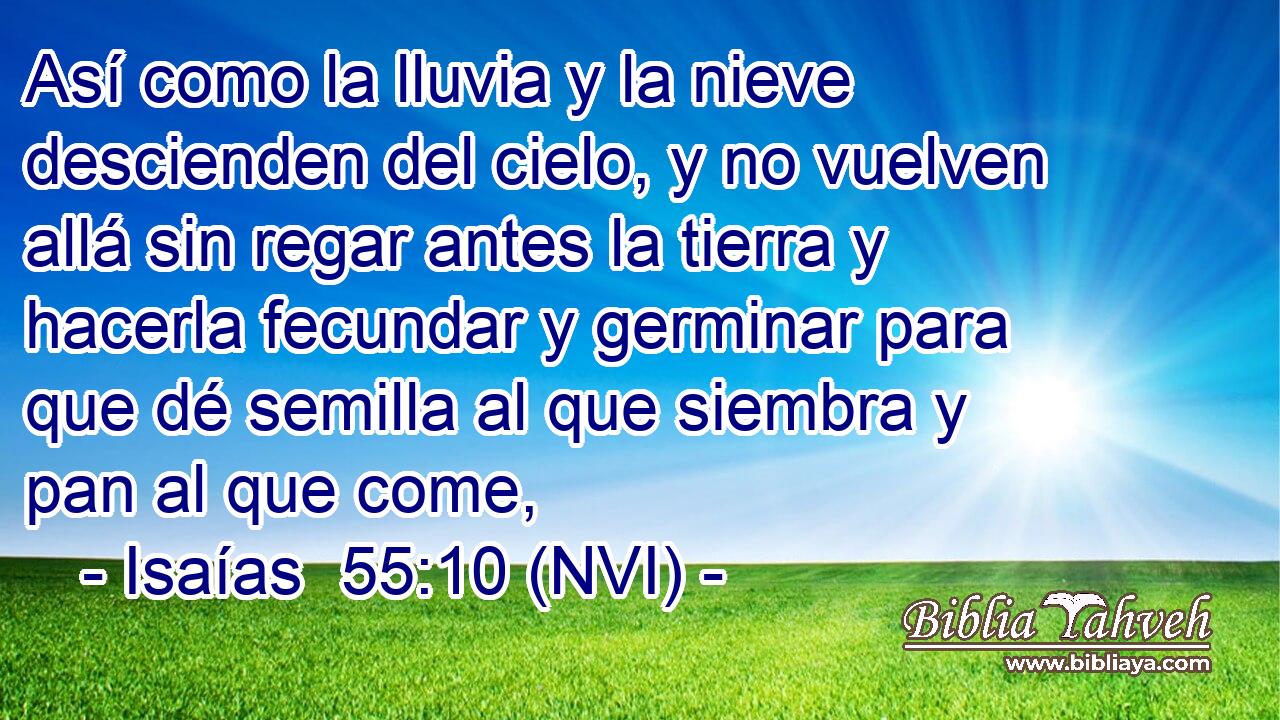  Así como la lluvia y la nieve descienden del cielo, y no vuelven allá sin regar antes la tierra y hacerla fecundar y germinar para que dé semilla al que siembra y pan al que come, 