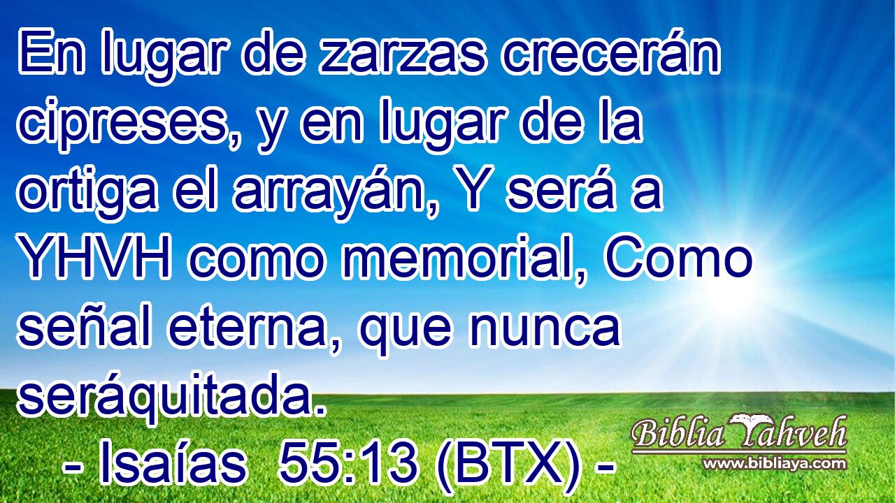 En lugar de zarzas crecerán cipreses, y en lugar de la ortiga el arrayán, Y será a YHVH como memorial, Como señal eterna, que nunca seráquitada.