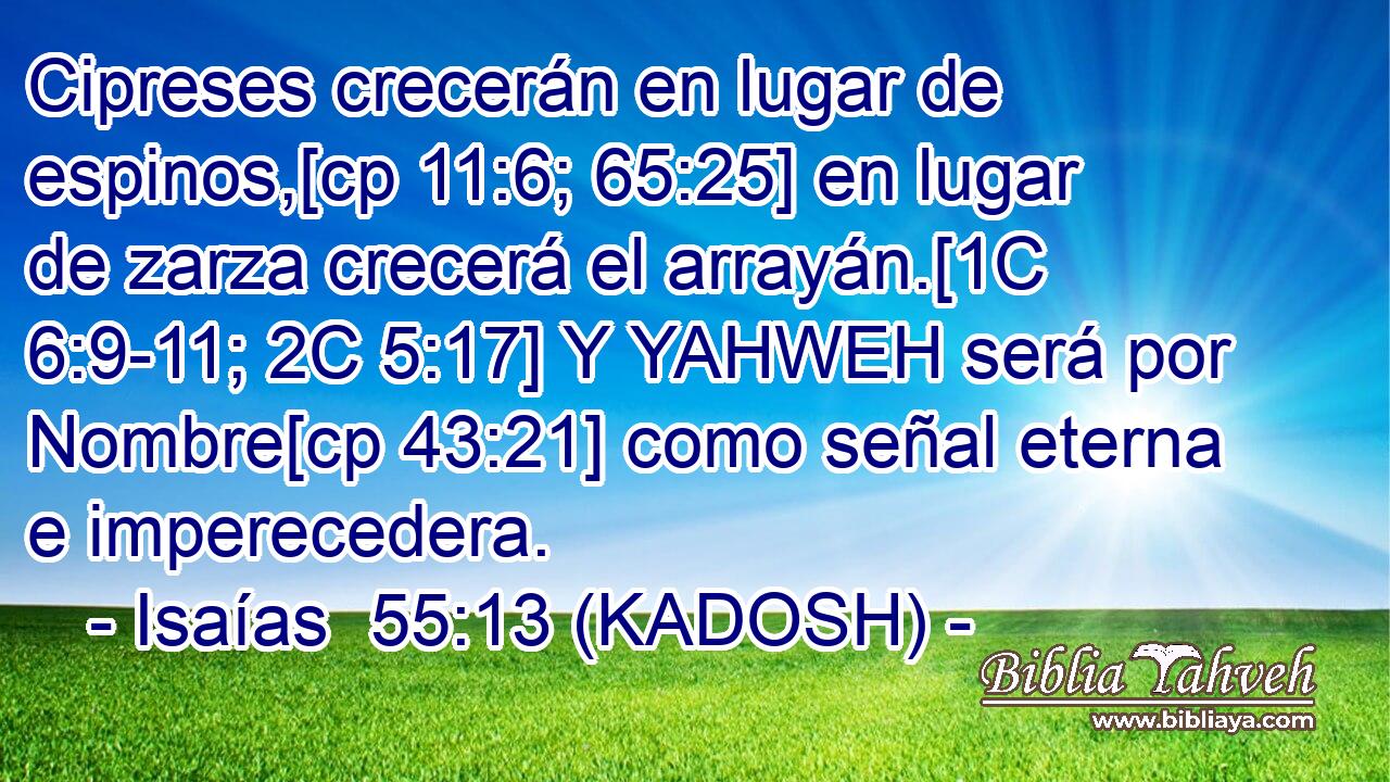  Cipreses crecerán en lugar de espinos,[cp 11:6; 65:25] en lugar de zarza crecerá el arrayán.[1C 6:9-11; 2C 5:17] Y YAHWEH será por Nombre[cp 43:21] como señal eterna e imperecedera. 