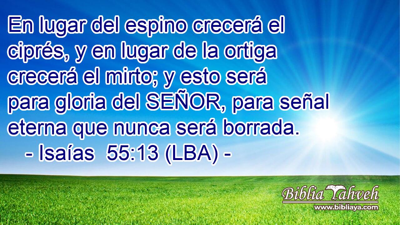 En lugar del espino crecerá el ciprés, y en lugar de la ortiga crecerá el mirto; y esto será para gloria del SEÑOR, para señal eterna que nunca será borrada.