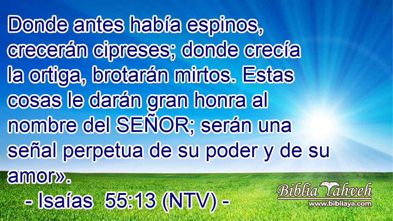 Donde antes había espinos, crecerán cipreses; donde crecía la ortiga, brotarán mirtos. Estas cosas le darán gran honra al nombre del SEÑOR; serán una señal perpetua de su poder y de su amor».