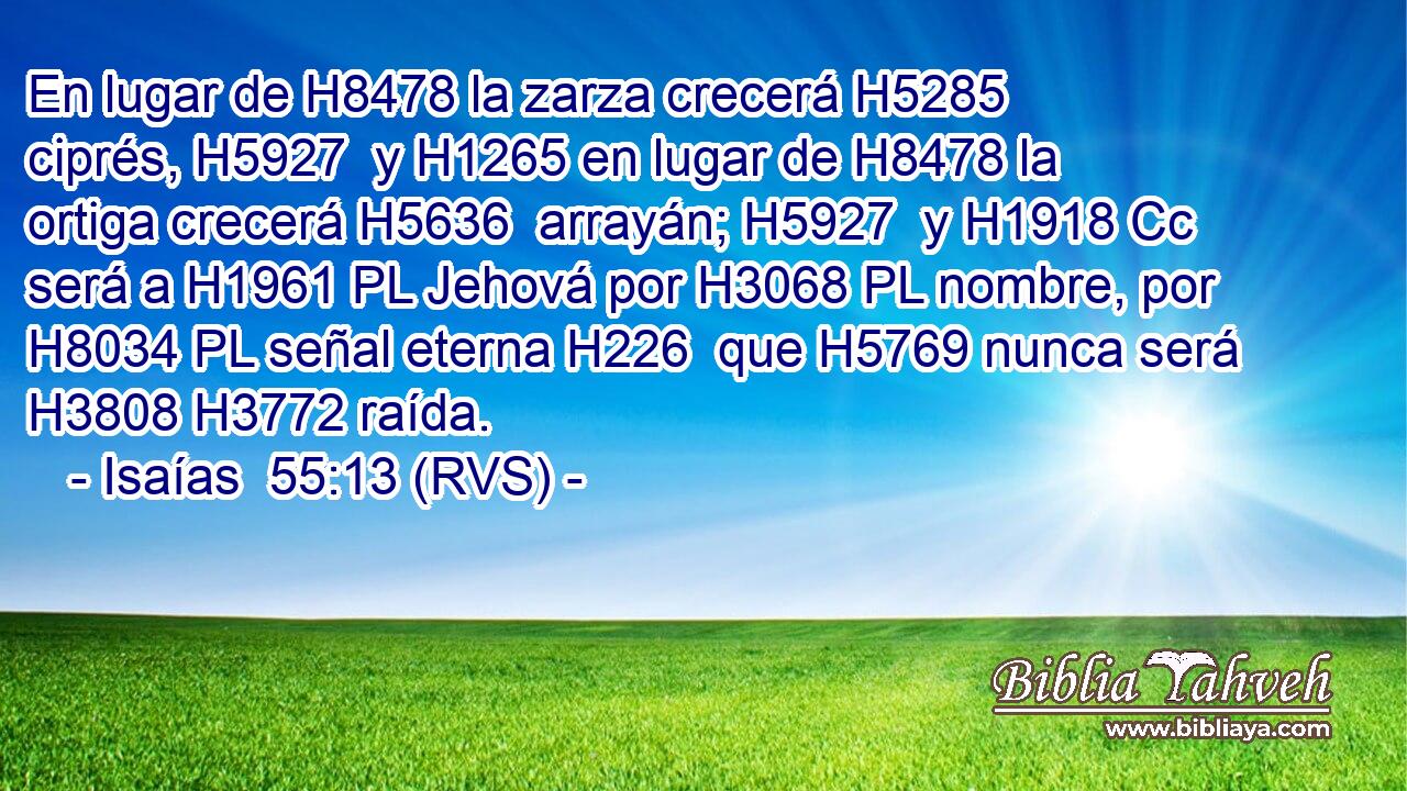 En lugar de H8478 la zarza crecerá H5285  ciprés, H5927  y H1265 en lugar de H8478 la ortiga crecerá H5636  arrayán; H5927  y H1918 Cc será a H1961 PL Jehová por H3068 PL nombre, por H8034 PL señal eterna H226  que H5769 nunca será H3808 H3772 raída. 