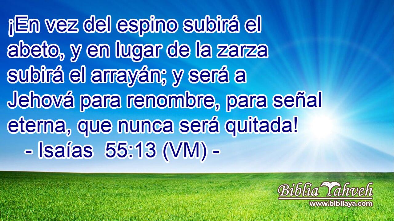  ¡En vez del espino subirá el abeto, y en lugar de la zarza subirá el arrayán; y será a Jehová para renombre, para señal eterna, que nunca será quitada! 