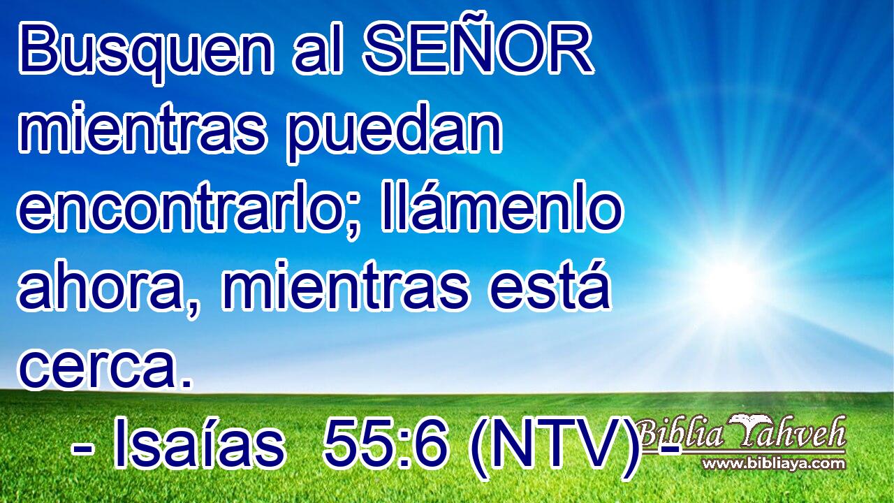 Busquen al SEÑOR mientras puedan encontrarlo; llámenlo ahora, mientras está cerca.