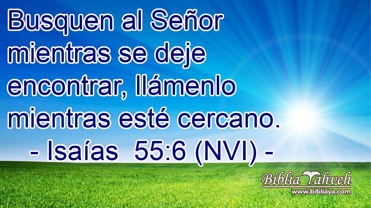  Busquen al Señor mientras se deje encontrar, llámenlo mientras esté cercano. 