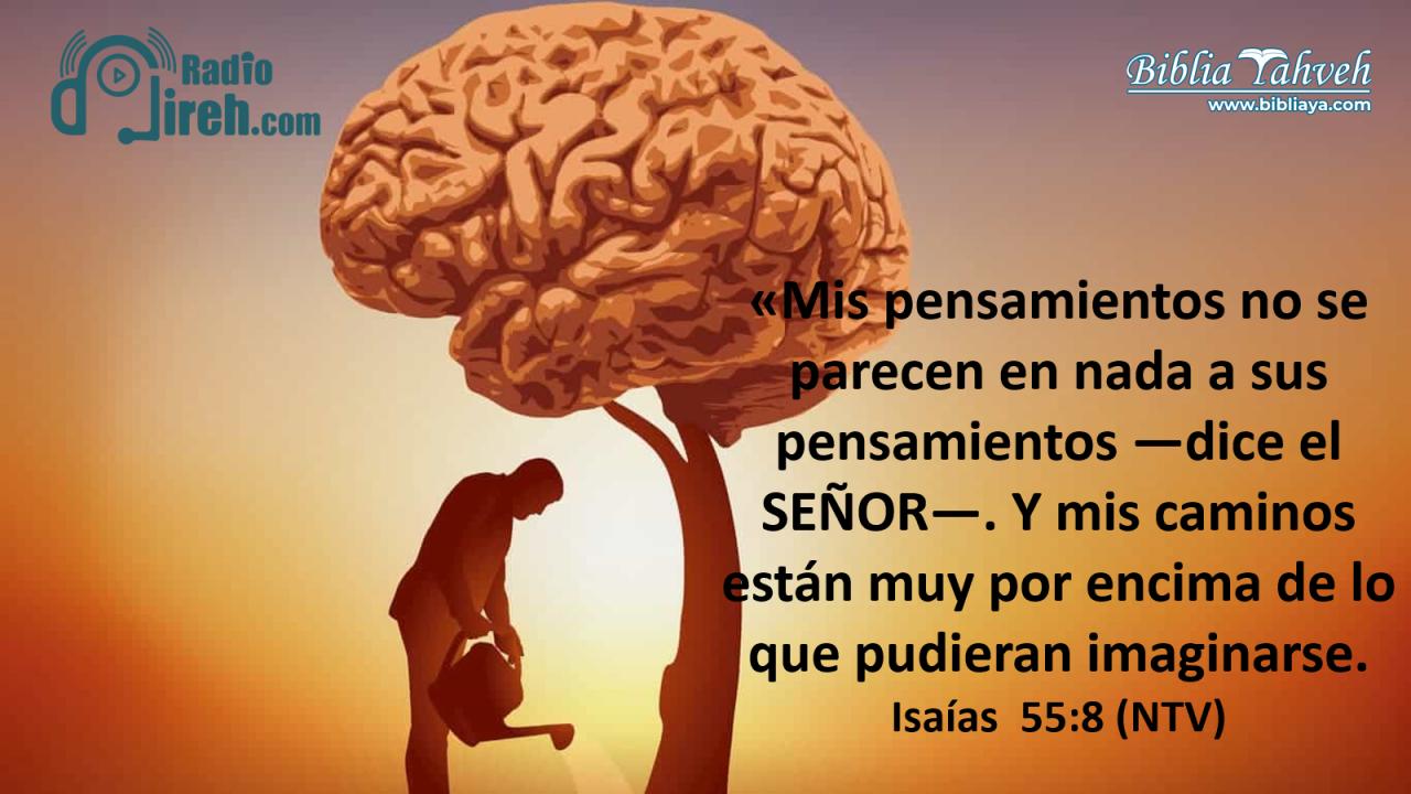 «Mis pensamientos no se parecen en nada a sus pensamientos —dice el SEÑOR—. Y mis caminos están muy por encima de lo que pudieran imaginarse.