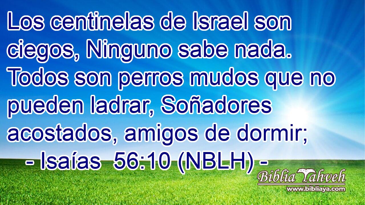 Los centinelas de Israel son ciegos, Ninguno sabe nada. Todos son perros mudos que no pueden ladrar, Soñadores acostados, amigos de dormir; 