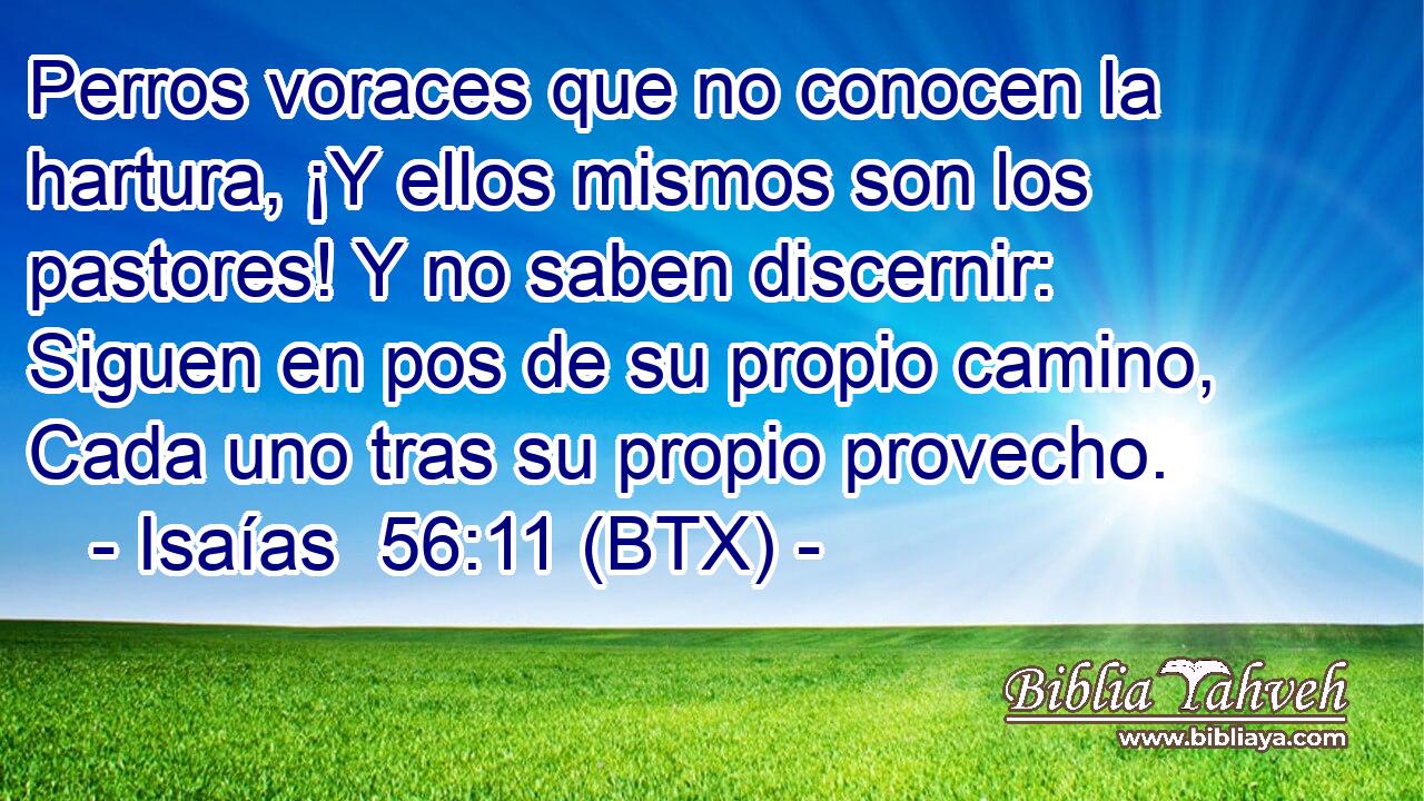 Perros voraces que no conocen la hartura, ¡Y ellos mismos son los pastores! Y no saben discernir: Siguen en pos de su propio camino, Cada uno tras su propio provecho.