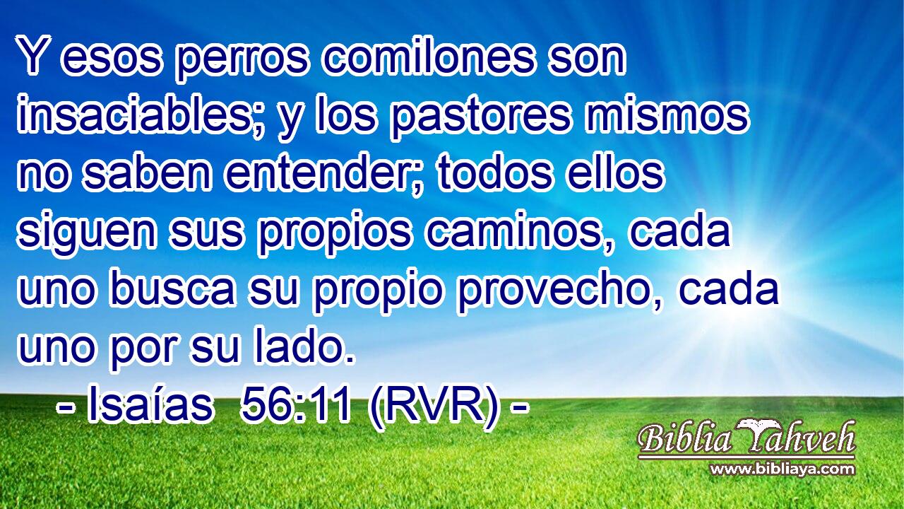 Y esos perros comilones son insaciables; y los pastores mismos no saben entender; todos ellos siguen sus propios caminos, cada uno busca su propio provecho, cada uno por su lado.