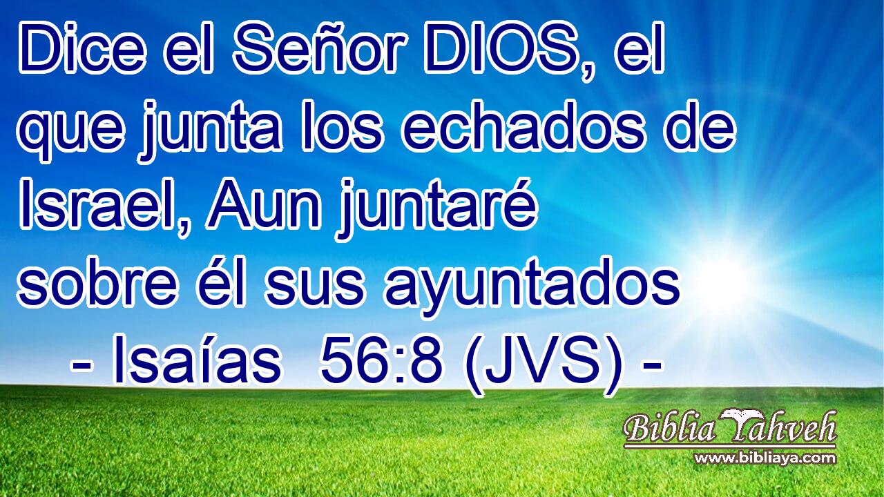 Dice el Señor DIOS, el que junta los echados de Israel, Aun juntaré sobre él sus ayuntados