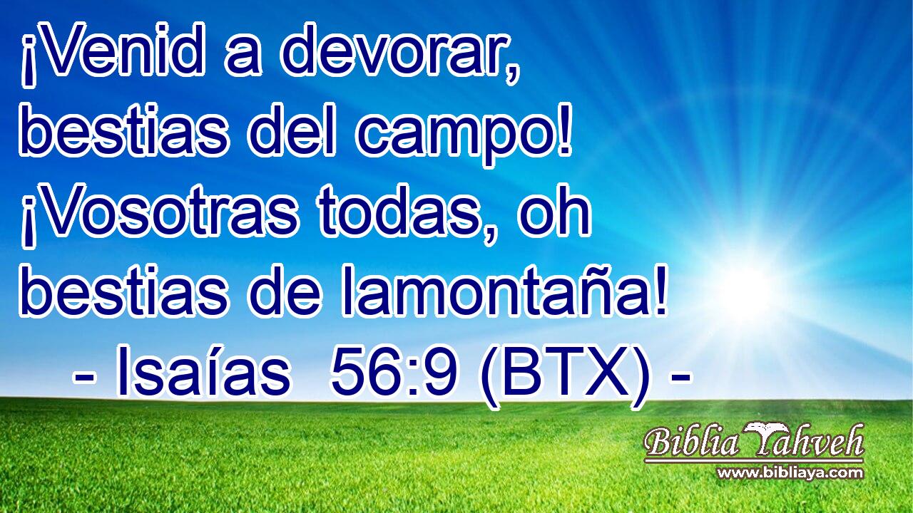 ¡Venid a devorar, bestias del campo! ¡Vosotras todas, oh bestias de lamontaña!