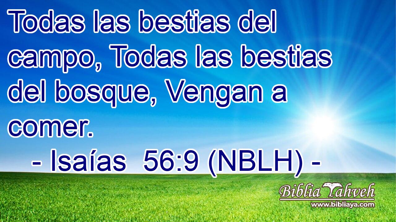  Todas las bestias del campo, Todas las bestias del bosque, Vengan a comer. 