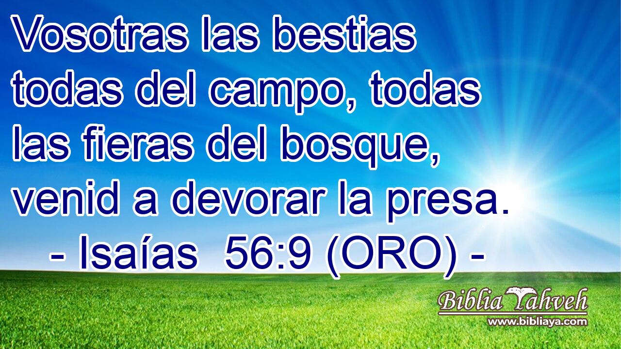  Vosotras las bestias todas del campo, todas las fieras del bosque, venid a devorar la presa. 