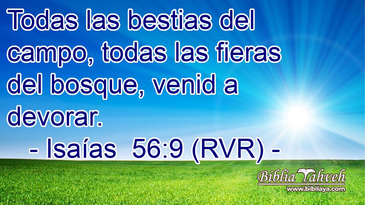 Todas las bestias del campo, todas las fieras del bosque, venid a devorar.