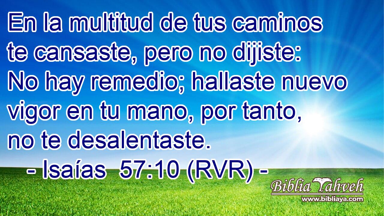 En la multitud de tus caminos te cansaste, pero no dijiste: No hay remedio; hallaste nuevo vigor en tu mano, por tanto, no te desalentaste.