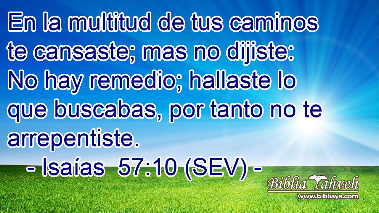 En la multitud de tus caminos te cansaste; mas no dijiste: No hay remedio; hallaste lo que buscabas, por tanto no te arrepentiste.