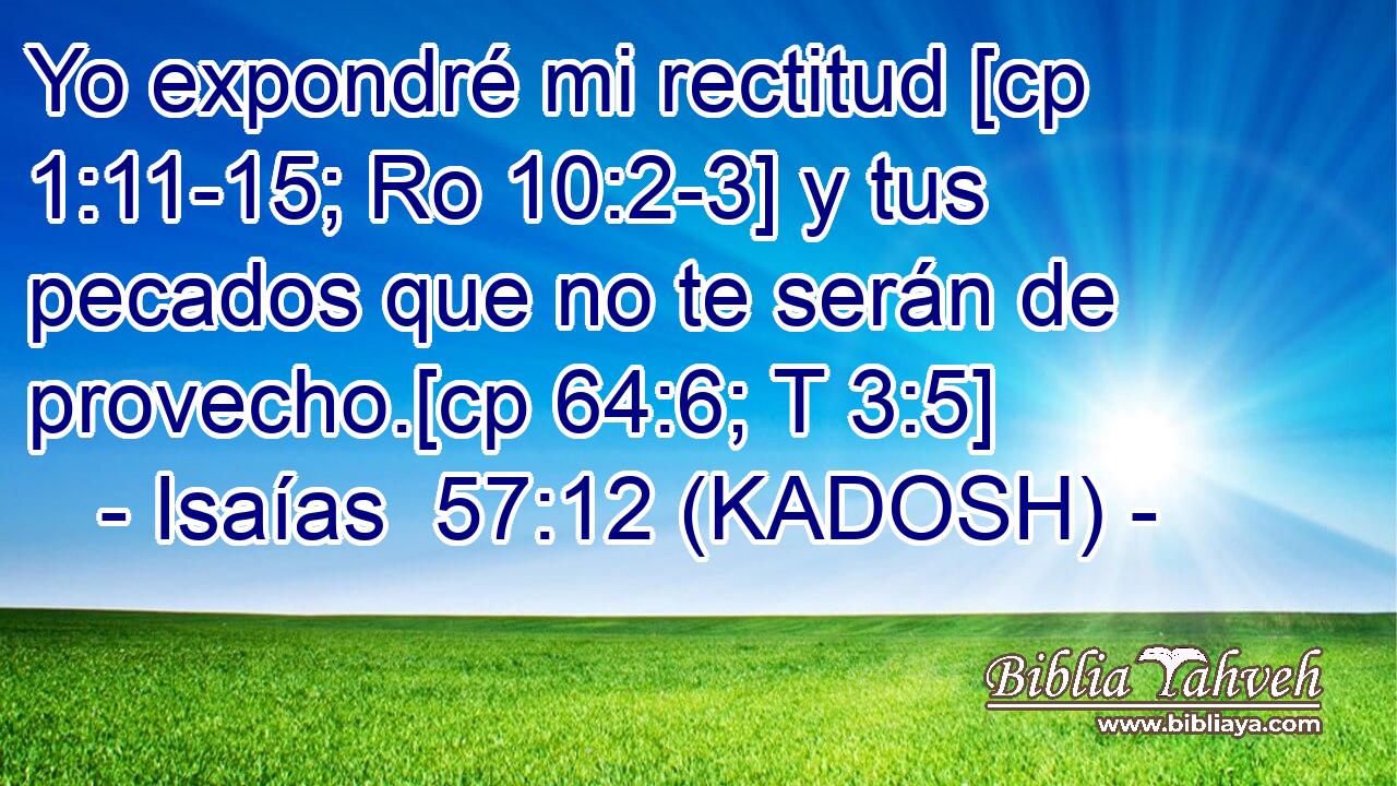  Yo expondré mi rectitud [cp 1:11-15; Ro 10:2-3] y tus pecados que no te serán de provecho.[cp 64:6; T 3:5] 