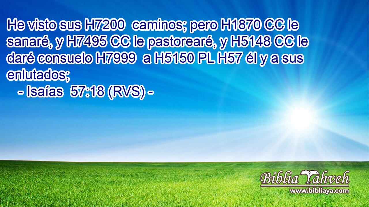 He visto sus H7200  caminos; pero H1870 CC le sanaré, y H7495 CC le pastorearé, y H5148 CC le daré consuelo H7999  a H5150 PL H57 él y a sus enlutados; 