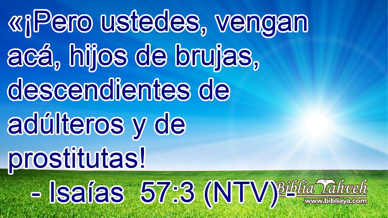 «¡Pero ustedes, vengan acá, hijos de brujas, descendientes de adúlteros y de prostitutas!