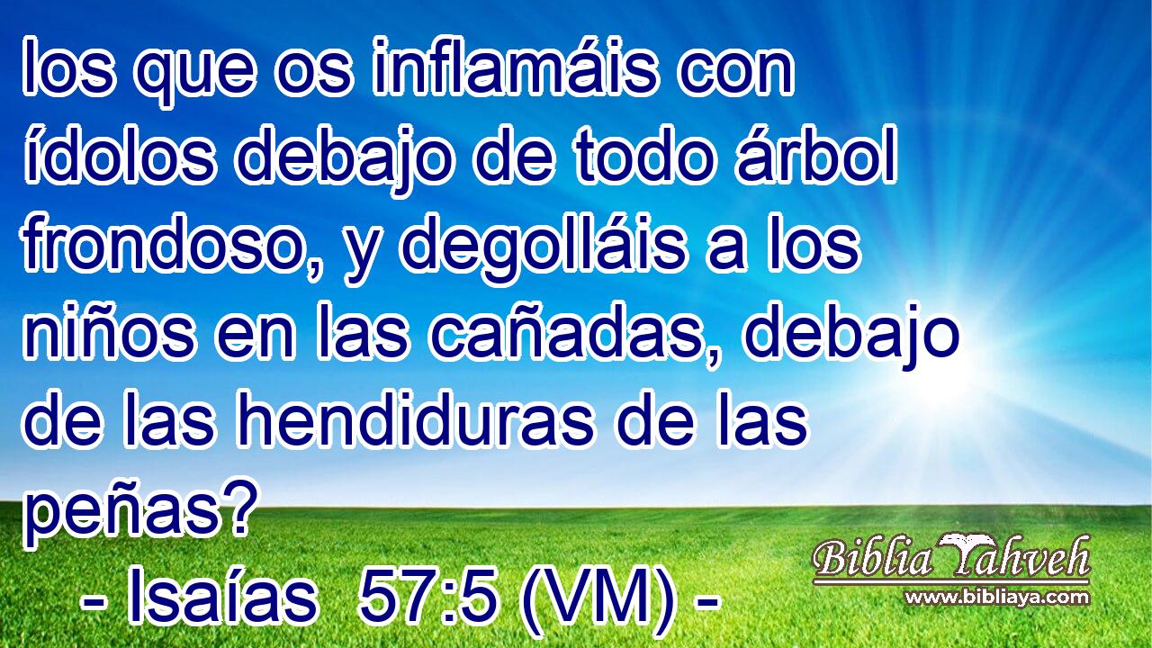  los que os inflamáis con ídolos debajo de todo árbol frondoso, y degolláis a los niños en las cañadas, debajo de las hendiduras de las peñas? 