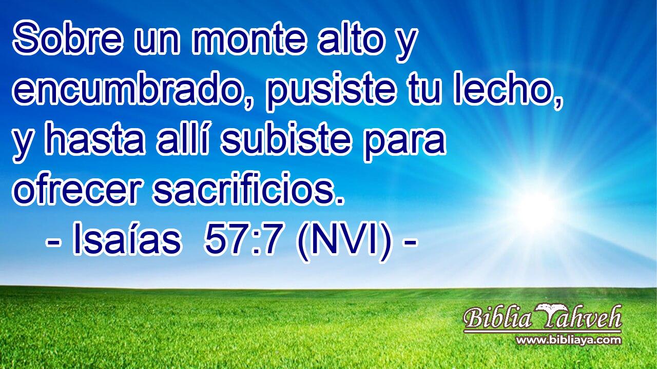  Sobre un monte alto y encumbrado, pusiste tu lecho, y hasta allí subiste para ofrecer sacrificios. 