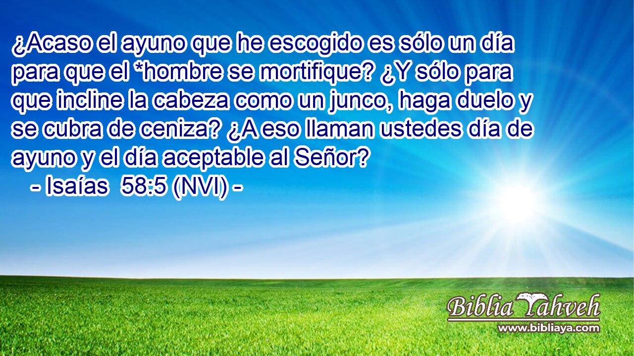  ¿Acaso el ayuno que he escogido es sólo un día para que el *hombre se mortifique? ¿Y sólo para que incline la cabeza como un junco, haga duelo y se cubra de ceniza? ¿A eso llaman ustedes día de ayuno y el día aceptable al Señor? 
