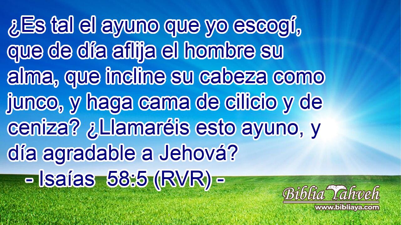 ¿Es tal el ayuno que yo escogí, que de día aflija el hombre su alma, que incline su cabeza como junco, y haga cama de cilicio y de ceniza? ¿Llamaréis esto ayuno, y día agradable a Jehová?