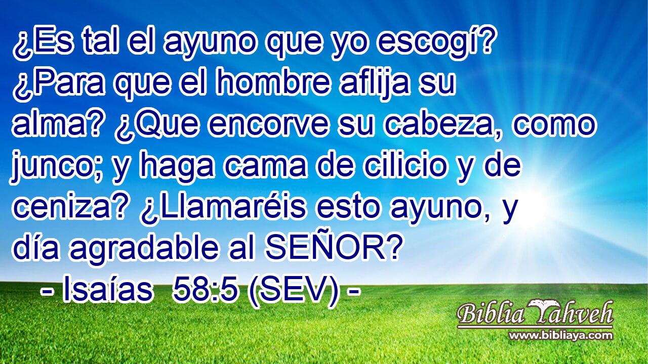 ¿Es tal el ayuno que yo escogí? ¿Para que el hombre aflija su alma? ¿Que encorve su cabeza, como junco; y haga cama de cilicio y de ceniza? ¿Llamaréis esto ayuno, y día agradable al SEÑOR?